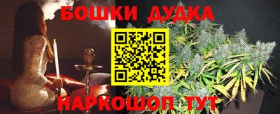 мдпв Обь