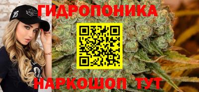 мдпв Обь