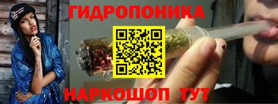 мдпв Обь