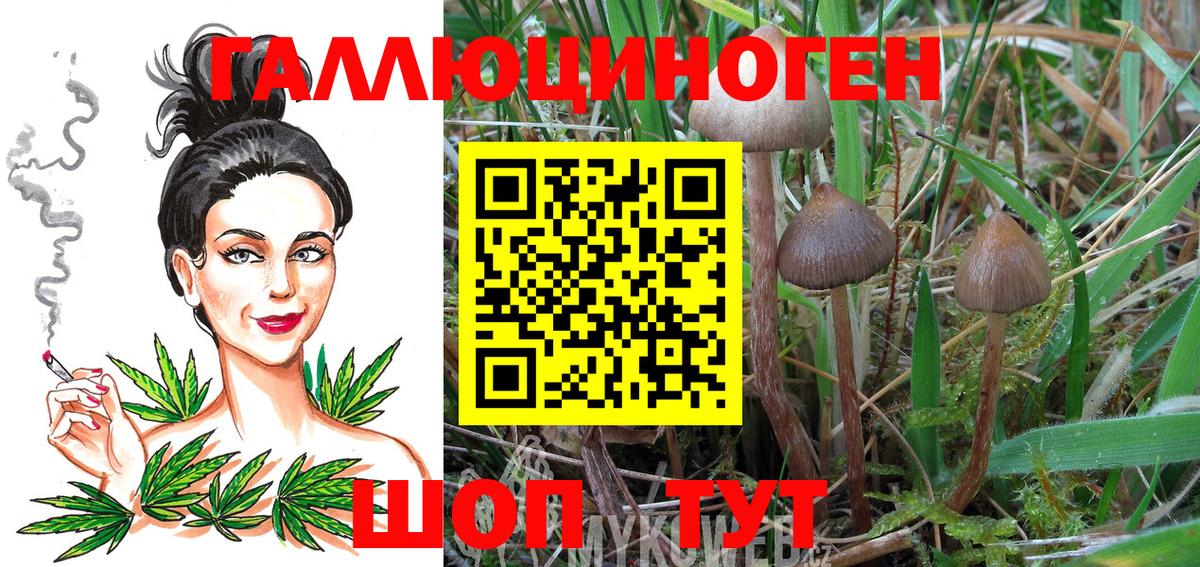 Галлюциногенные грибы Cubensis Сегежа